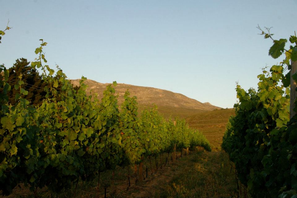 Moutain view with clear sky