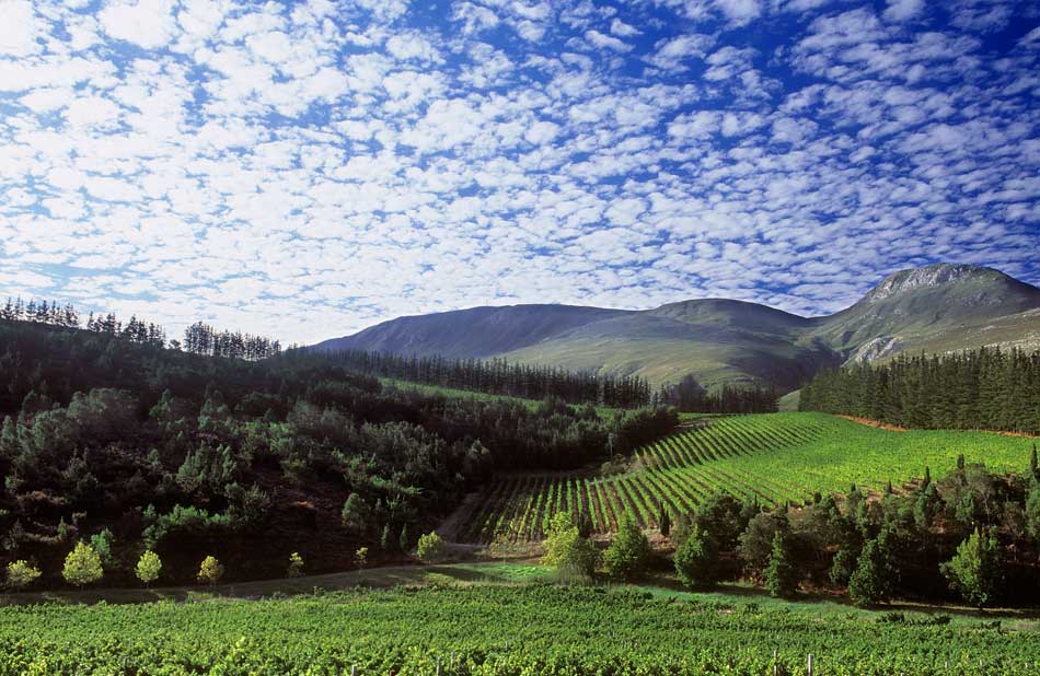 Mountain and clouds view